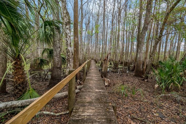 2 Se 814 Th St, House other with 3 bedrooms, 2 bathrooms and null parking in OLD TOWN FL | Image 41