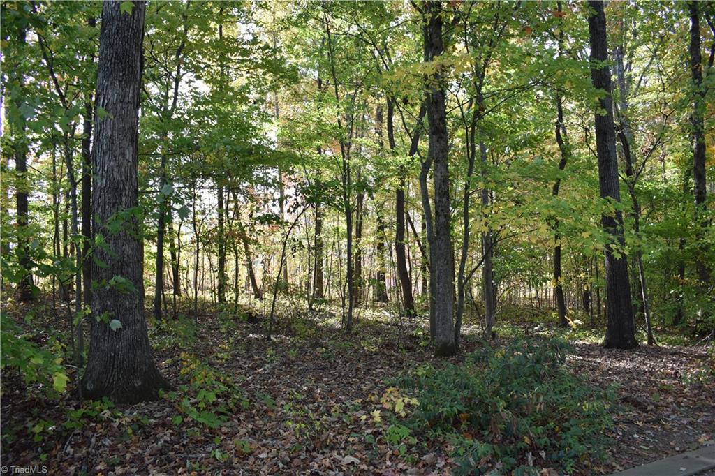 Land in Thomasville 3