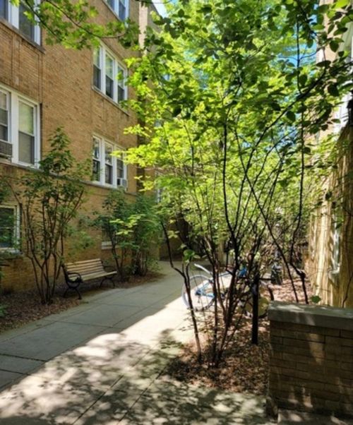 apt-1s-683 Wrightwood Ave, Chicago, IL, 60614-2517 | Card Image
