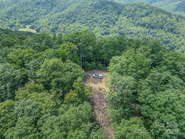 000 White Rock Branch Rd, Home with 0 bedrooms, 0 bathrooms and null parking in Candler NC | Image 5