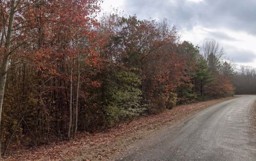 lot-5-390 Sandusky Rd, Phil Campbell, AL, 35581-4763 | Card Image