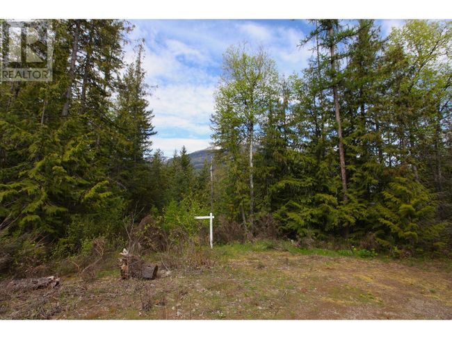 434 Lexington Ave, Home with 0 bedrooms, 0 bathrooms and null parking in Procter BC | Image 34