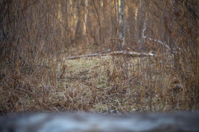 MF_N_GraceLake-34.jpg | Image 81