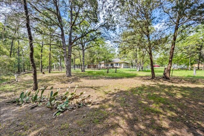 View of yard | Image 24