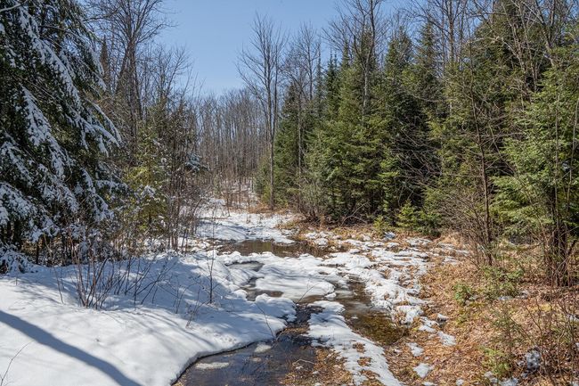 160-acre Pleasant Lake Rd, Home with 0 bedrooms, 0 bathrooms and null parking in Upson WI | Image 31