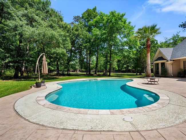 Whether you're swimming laps or lounging poolside, this backyard offers the privacy, space, and setting you’ve been dreaming of. | Image 42