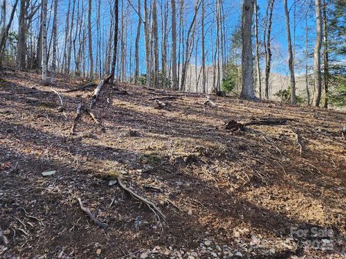 8b-00 Shadow Moss Dr, Burnsville, NC, 28714 | Card Image