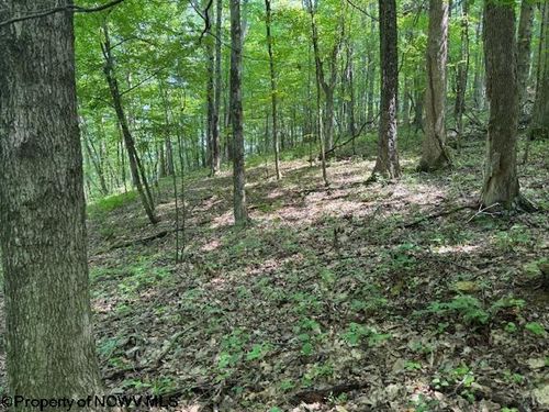 TBD Irontown Rd, Independence, WV, 26374 | Card Image