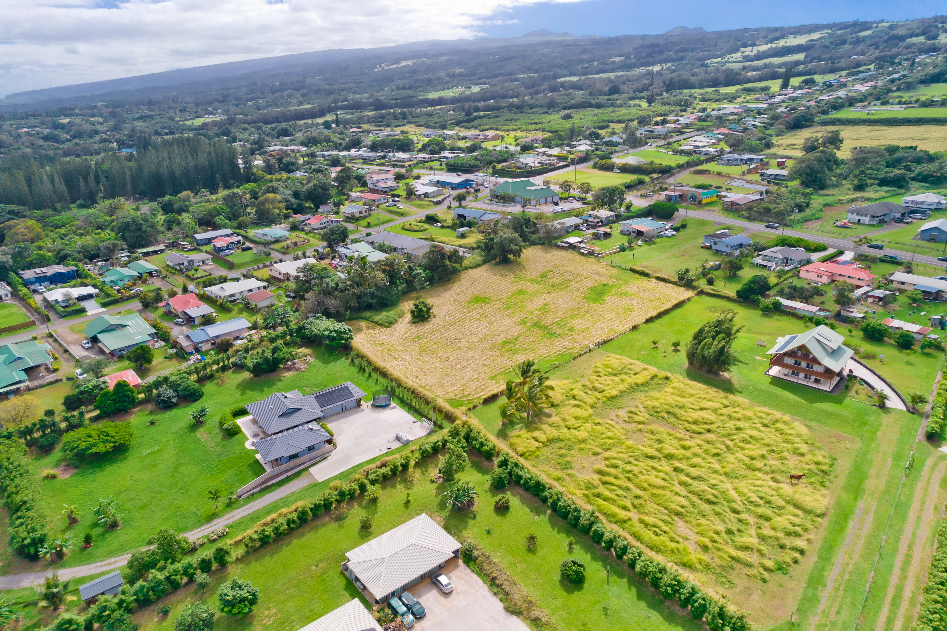 Land in Kapaau 3
