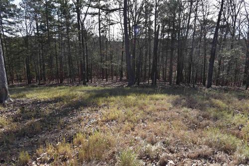 Tract 14 Sunnyside Of The Bay, Fairfield Bay, AR, 72088 | Card Image