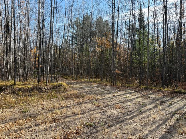 8414 Rice Creek Rd, Home with 0 bedrooms, 0 bathrooms and null parking in Harshaw WI | Image 8
