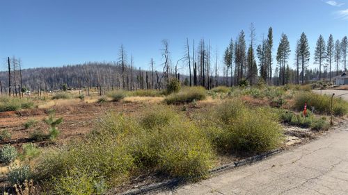 5046 Cary Dr, Grizzly Flats, CA, 95636-9733 | Card Image