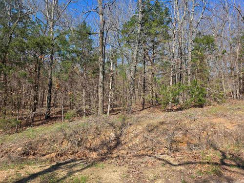 L7 B8 Hopi Drive, Cherokee Village, AR, 72529 | Card Image