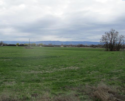 tbd Bunchgrass Lane, Walla Walla, WA, 99362 | Card Image