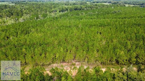 Tract 6 Sunflower Rd, Fitzgerald, GA, 31750 | Card Image
