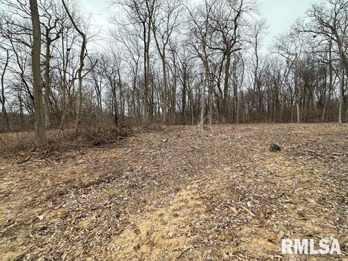 lot 3 Springbrook Rd, De Witt, IA, 52742 | Card Image