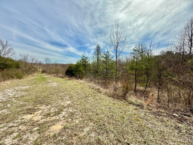 9999 Cam Court Dr, Home with 0 bedrooms, 0 bathrooms and null parking in Lily KY | Image 14
