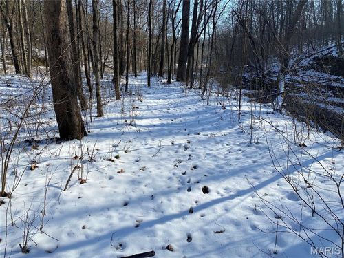 29507 Pinnacle Lake Rd, New Florence, MO, 63363-1906 | Card Image