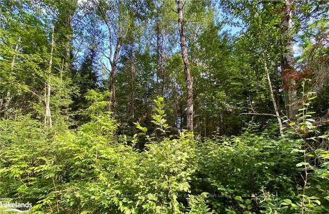 0 Concession 10 And 11 Road, Home with 0 bedrooms, 0 bathrooms and null parking in Parry Sound, Unorganized, Centre Part ON | Image 11