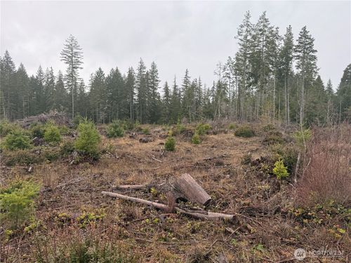 10 E Shetland Rd, Shelton, WA, 98584 | Card Image