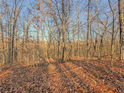 Lot 13 Block 2 Stilton Lane, Bella Vista, AR, 72714 | Card Image