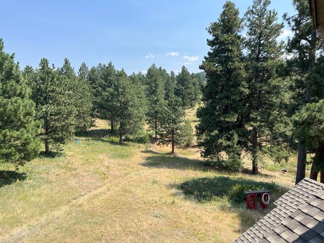 view from tower | Image 45