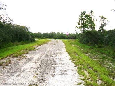 Street View to Daffodil. | Image 3