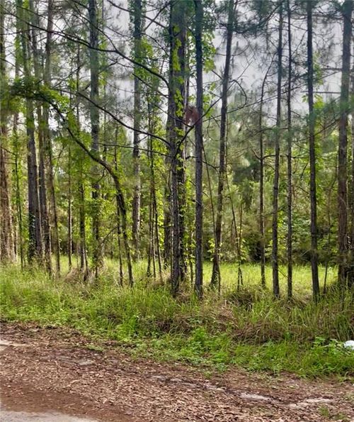 11400 Henderson Camp Rd, Grand Bay, AL, 36541-6712 | Card Image