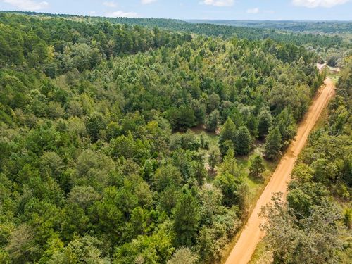 TBD County Road 2993, 28 Ac, Hughes Springs, TX, 75656 | Card Image