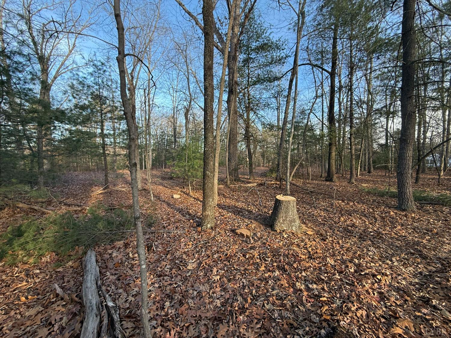 Land in Monroe 3