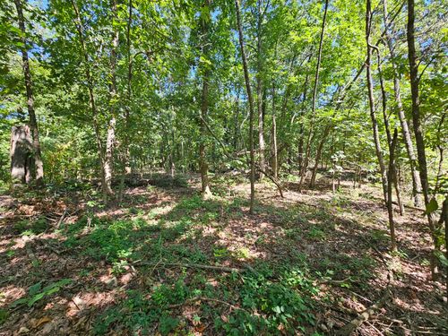 65 Acres Plainview Road, Anderson, MO, 64831 | Card Image