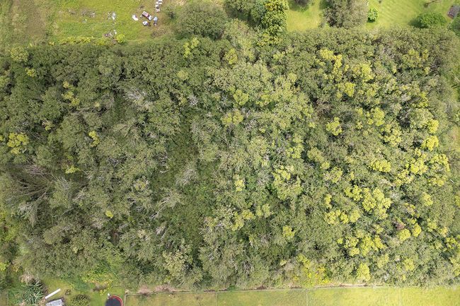 3076 Ainaola Dr, Home with 0 bedrooms, 0 bathrooms and null parking in Hilo HI | Image 8