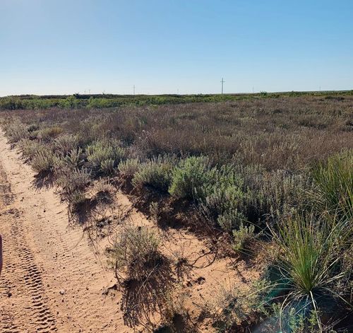 TBD County Road 411, Seminole, TX, 79360 | Card Image