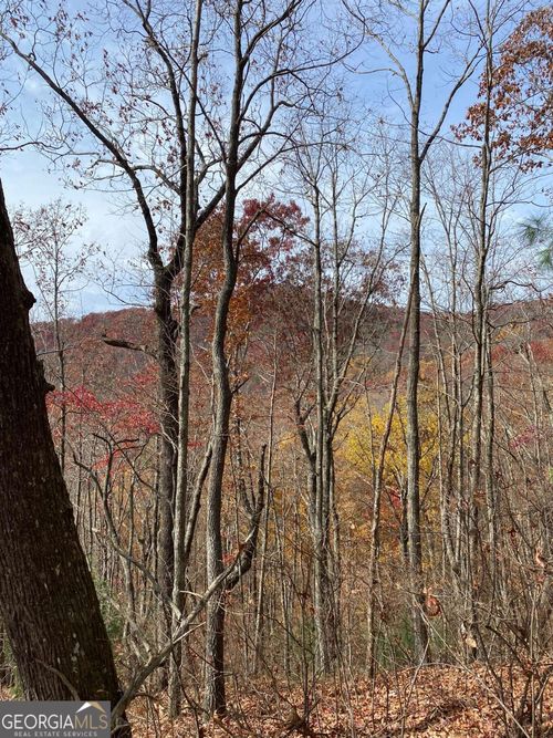 335-L334 335 Brushy Top Rd, Ellijay, GA, 30540-4244 | Card Image