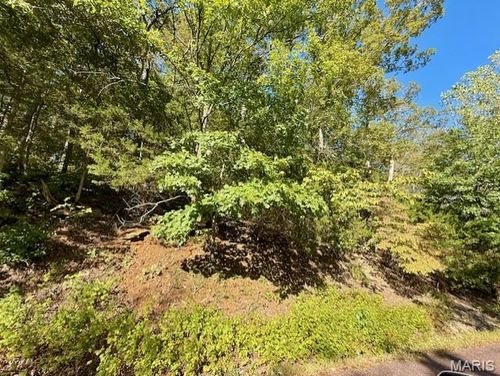 2161 S Lake Sherwood Dr, Lake Sherwood, MO, 63357-1574 | Card Image