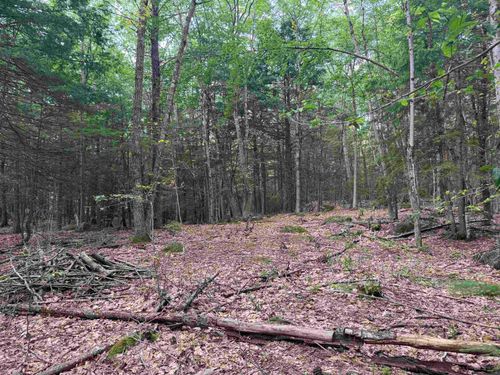 Lot R11-11-1 Forest Road, Hancock, NH, 03449 | Card Image