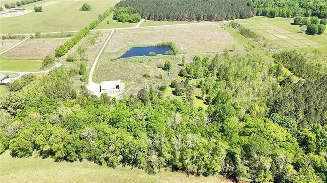 344 Dani Ln, Home with 0 bedrooms, 0 bathrooms and null parking in Mathews AL | Image 7