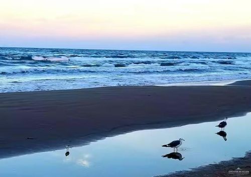 a4-107 E Bahama St, South Padre Island, TX, 78597-7134 | Card Image