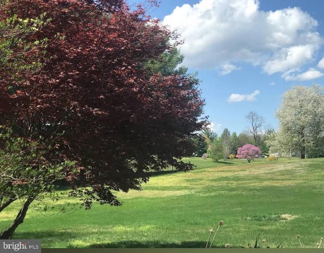 12007 Briar Patch Rd, House other with 4 bedrooms, 3 bathrooms and null parking in HUME VA | Image 57