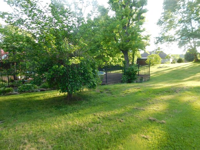 A truly Lush Green Yard to Enjoy, very manageable | Image 61