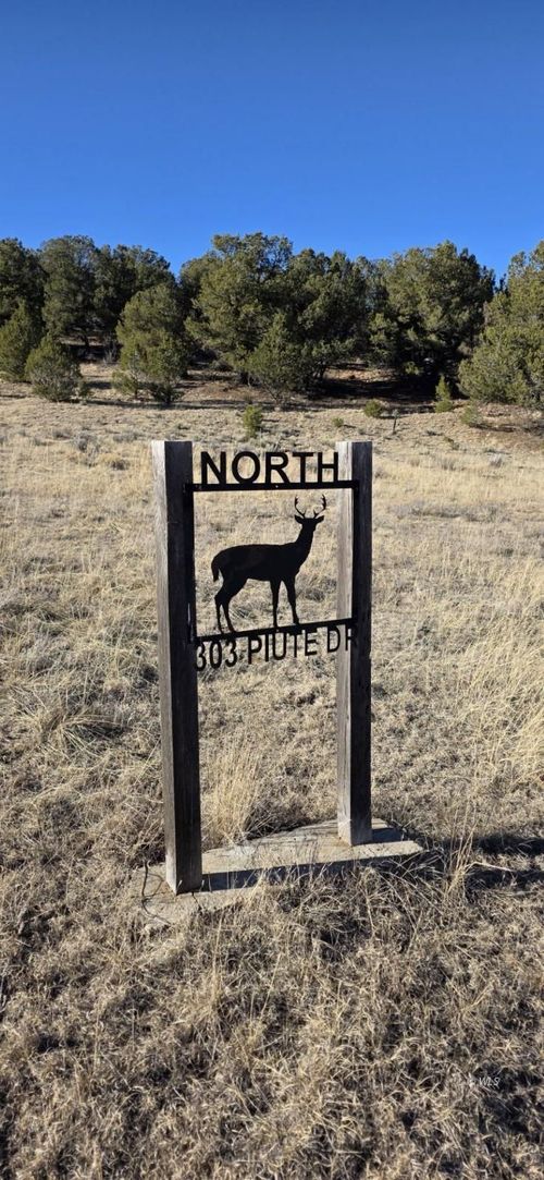 303 Piute Dr, Canon City, CO, 81212 | Card Image