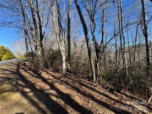 Lot 19 Udoque Ct, Brevard, NC, 28712-9269 | Card Image