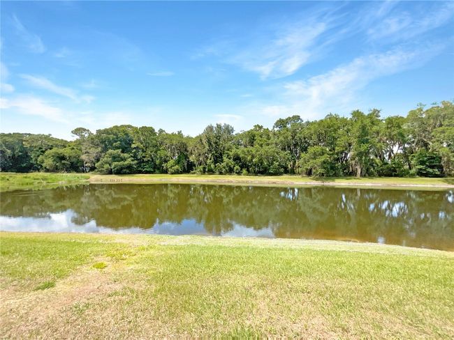 6709 Bayston Hill Place, House other with 4 bedrooms, 2 bathrooms and null parking in ZEPHYRHILLS FL | Image 21