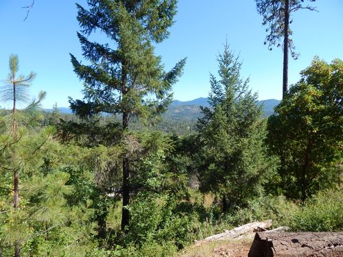 635 Sarma Dr, Shady Cove, OR, 97539-8705 | Card Image