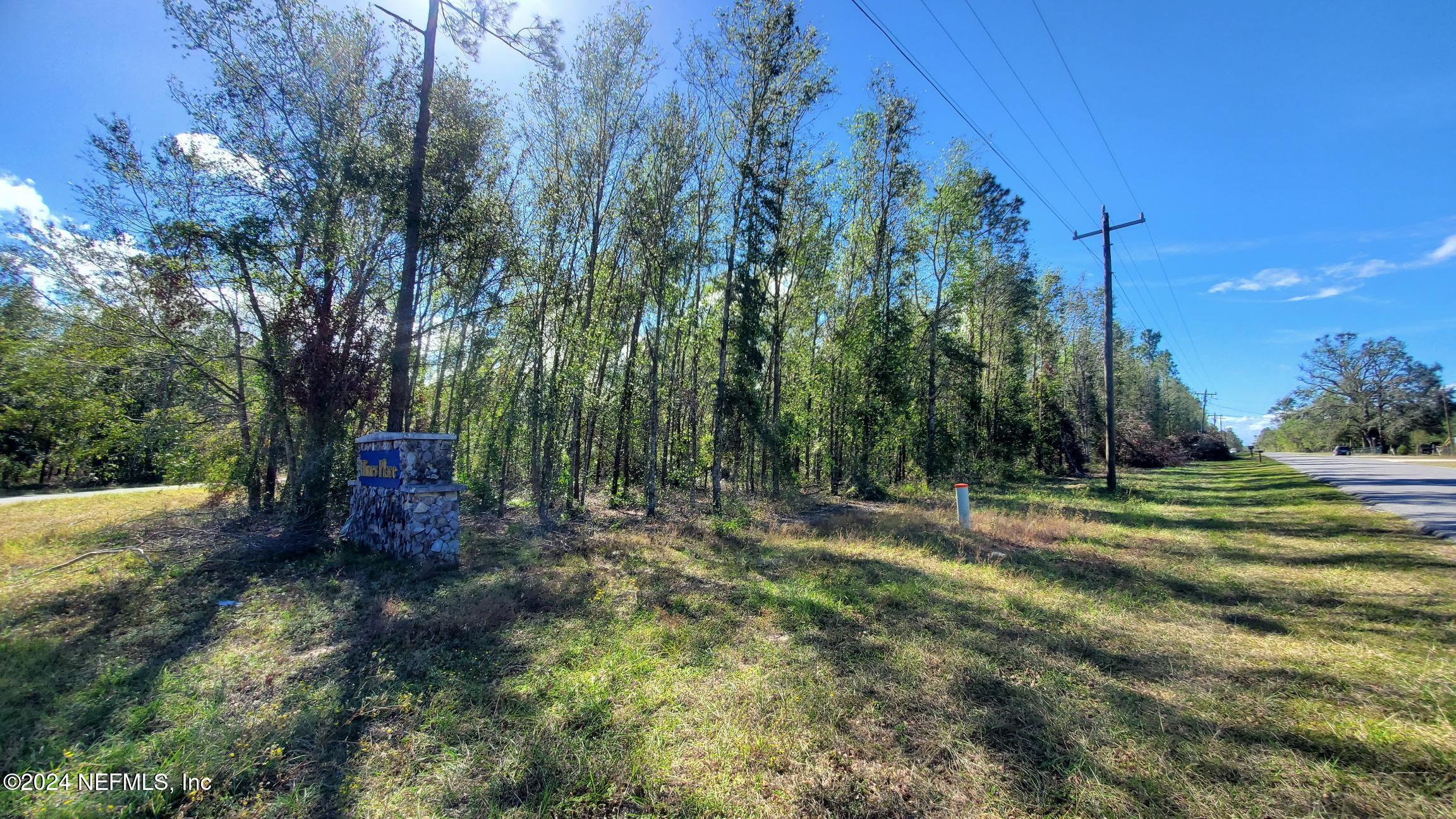 Land in Live Oak 5