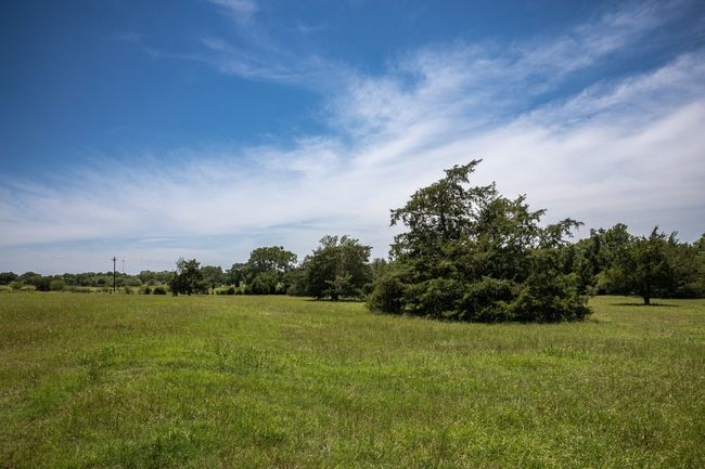 View of undeveloped land featuring rural landscape | Image 7