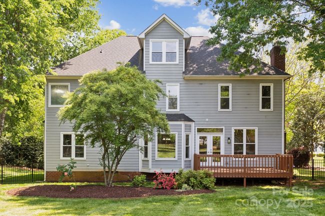 Back yard | Image 39