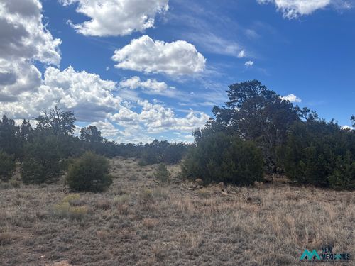 43-0 Lot 43 Abbe Springs, Magdalena, NM, 87825 | Card Image