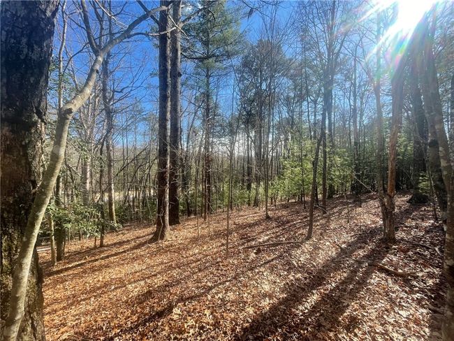 00 Academy Rd, Home with 0 bedrooms, 0 bathrooms and null parking in Mountain Rest SC | Image 27
