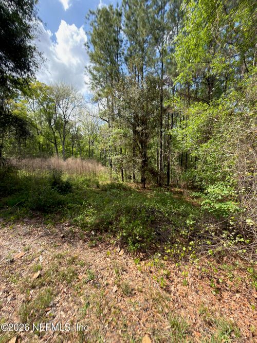4501 Tarragon Ave, MIDDLEBURG, FL, 32068-6121 | Card Image